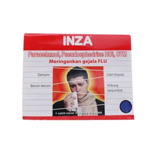 Inza